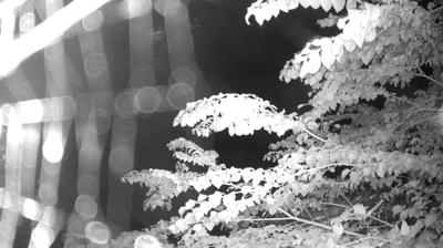 immagine della webcam nei dintorni di Dro: webcam Zuclo
