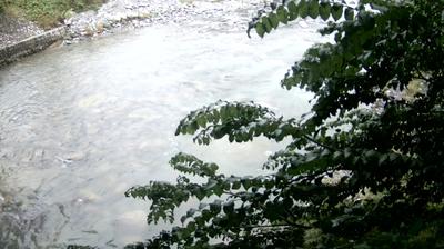 immagine della webcam nei dintorni di Sella Giudicarie: webcam Zuclo