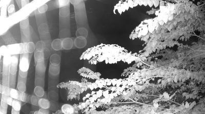 immagine della webcam nei dintorni di Sella Giudicarie: webcam Zuclo