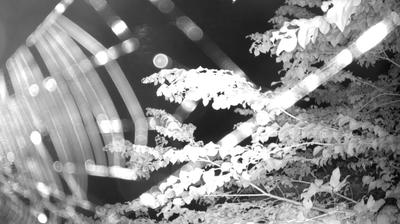 immagine della webcam nei dintorni di Tiarno di Sotto: webcam Zuclo