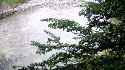 immagine della webcam nei dintorni di Pieve di Ledro: webcam Zuclo