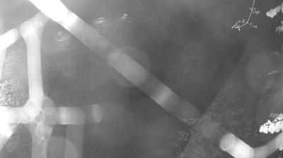 immagine della webcam nei dintorni di Sant'Antonio di Mavignola: webcam Zuclo