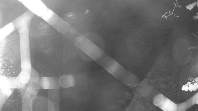 immagine della webcam nei dintorni di Fiavè: webcam Zuclo