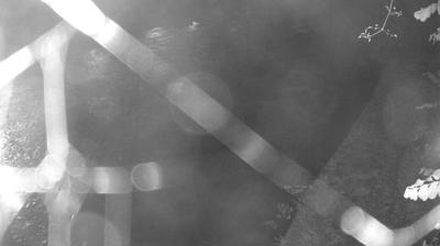 immagine della webcam nei dintorni di Fiavè: webcam Zuclo