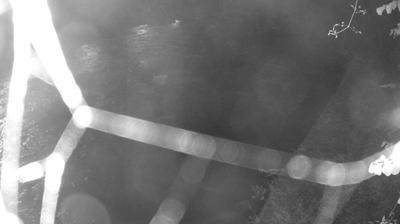 immagine della webcam nei dintorni di Dorsino: webcam Zuclo