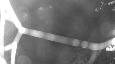 immagine della webcam nei dintorni di Spiazzo: webcam Zuclo