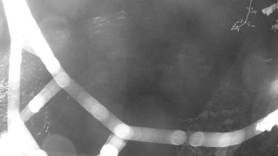 immagine della webcam nei dintorni di Daone: webcam Zuclo