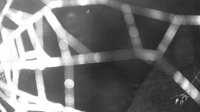 immagine della webcam nei dintorni di Caderzone: webcam Zuclo