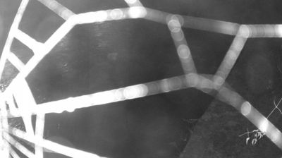 immagine della webcam nei dintorni di Dro: webcam Zuclo