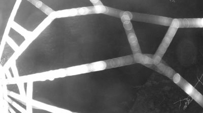 immagine della webcam nei dintorni di Dorsino: webcam Zuclo