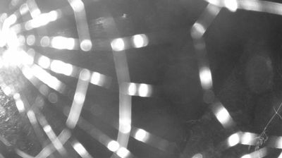 immagine della webcam nei dintorni di Ledro: webcam Zuclo