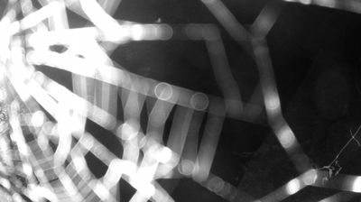 immagine della webcam nei dintorni di Tenno: webcam Zuclo