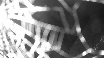 immagine della webcam nei dintorni di Valdaone: webcam Zuclo