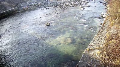 immagine della webcam nei dintorni di Valdaone: webcam Zuclo