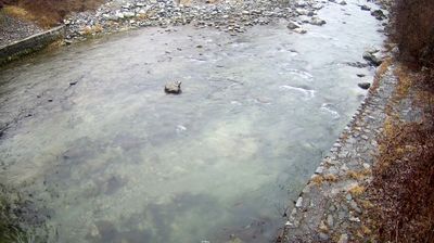 immagine della webcam nei dintorni di Pinzolo: webcam Zuclo