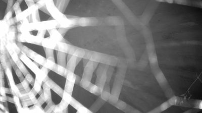 immagine della webcam nei dintorni di Tione di Trento: webcam Zuclo