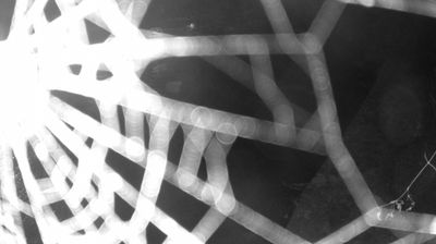 immagine della webcam nei dintorni di Caderzone Terme: webcam Zuclo