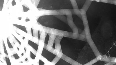 immagine della webcam nei dintorni di Caderzone: webcam Zuclo