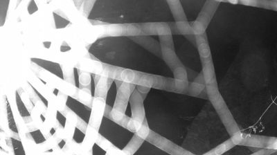 immagine della webcam nei dintorni di Pieve di Ledro: webcam Zuclo