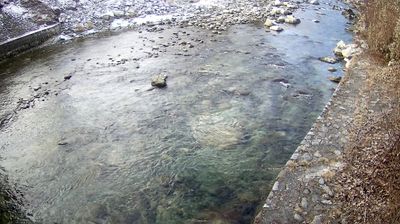 immagine della webcam nei dintorni di Pieve di Ledro: webcam Zuclo