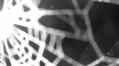 immagine della webcam nei dintorni di Pieve di Ledro: webcam Zuclo