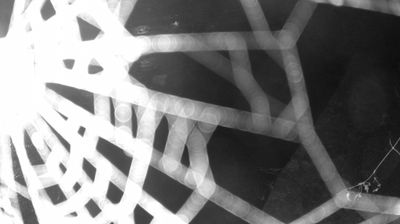 immagine della webcam nei dintorni di Caderzone: webcam Zuclo