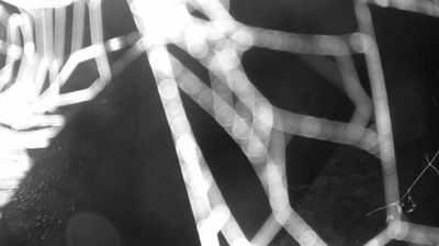 immagine della webcam nei dintorni di San Lorenzo Dorsino: webcam Zuclo