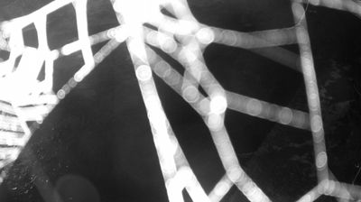 immagine della webcam nei dintorni di Fiavè: webcam Zuclo