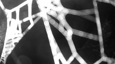 immagine della webcam nei dintorni di Fiavè: webcam Zuclo