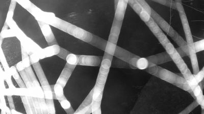 immagine della webcam nei dintorni di Pinzolo: webcam Zuclo