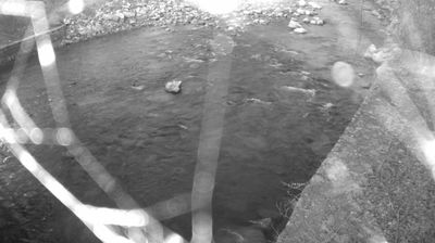 immagine della webcam nei dintorni di San Lorenzo Dorsino: webcam Zuclo