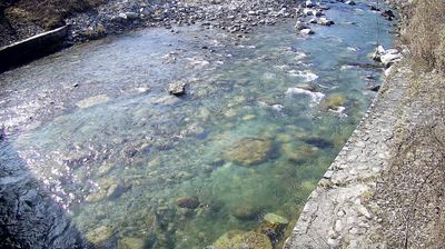 immagine della webcam nei dintorni di Roncone: webcam Zuclo