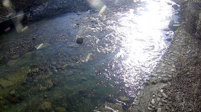 immagine della webcam nei dintorni di Fiavè: webcam Zuclo