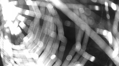 immagine della webcam nei dintorni di Fiavè: webcam Zuclo