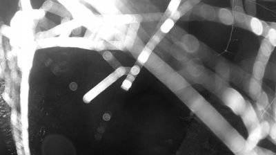 immagine della webcam nei dintorni di Valdaone: webcam Zuclo