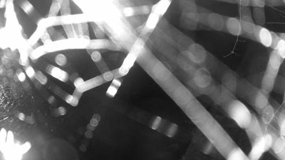 immagine della webcam nei dintorni di Ledro: webcam Zuclo