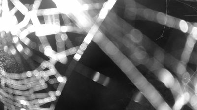 immagine della webcam nei dintorni di Pinzolo: webcam Zuclo