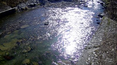 immagine della webcam nei dintorni di Massimeno: webcam Zuclo