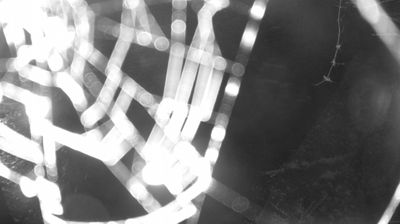 immagine della webcam nei dintorni di Riva del Garda: webcam Zuclo