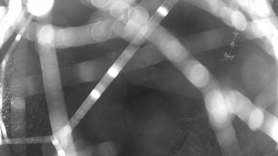 immagine della webcam nei dintorni di Caderzone: webcam Zuclo