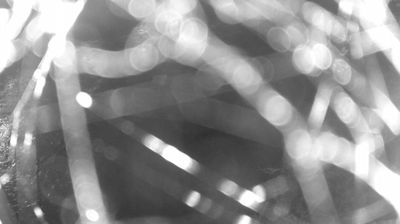 immagine della webcam nei dintorni di Carisolo: webcam Zuclo