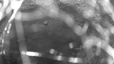 immagine della webcam nei dintorni di Carisolo: webcam Zuclo