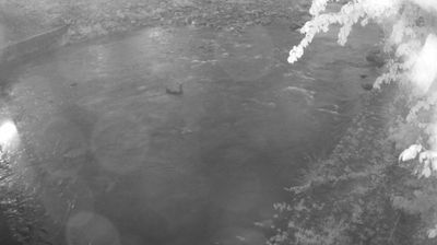 immagine della webcam nei dintorni di Riva del Garda: webcam Zuclo