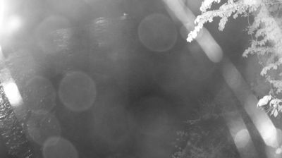 immagine della webcam nei dintorni di Caderzone Terme: webcam Zuclo