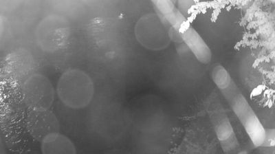 immagine della webcam nei dintorni di Roncone: webcam Zuclo