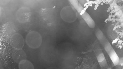 immagine della webcam nei dintorni di Arco: webcam Zuclo
