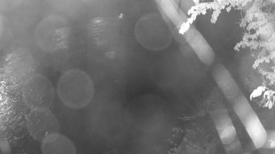 immagine della webcam nei dintorni di Roncone: webcam Zuclo