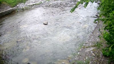 immagine della webcam nei dintorni di Ledro: webcam Zuclo