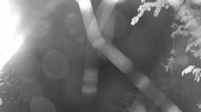 immagine della webcam nei dintorni di Daone: webcam Zuclo