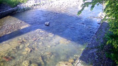immagine della webcam nei dintorni di Pinzolo: webcam Zuclo